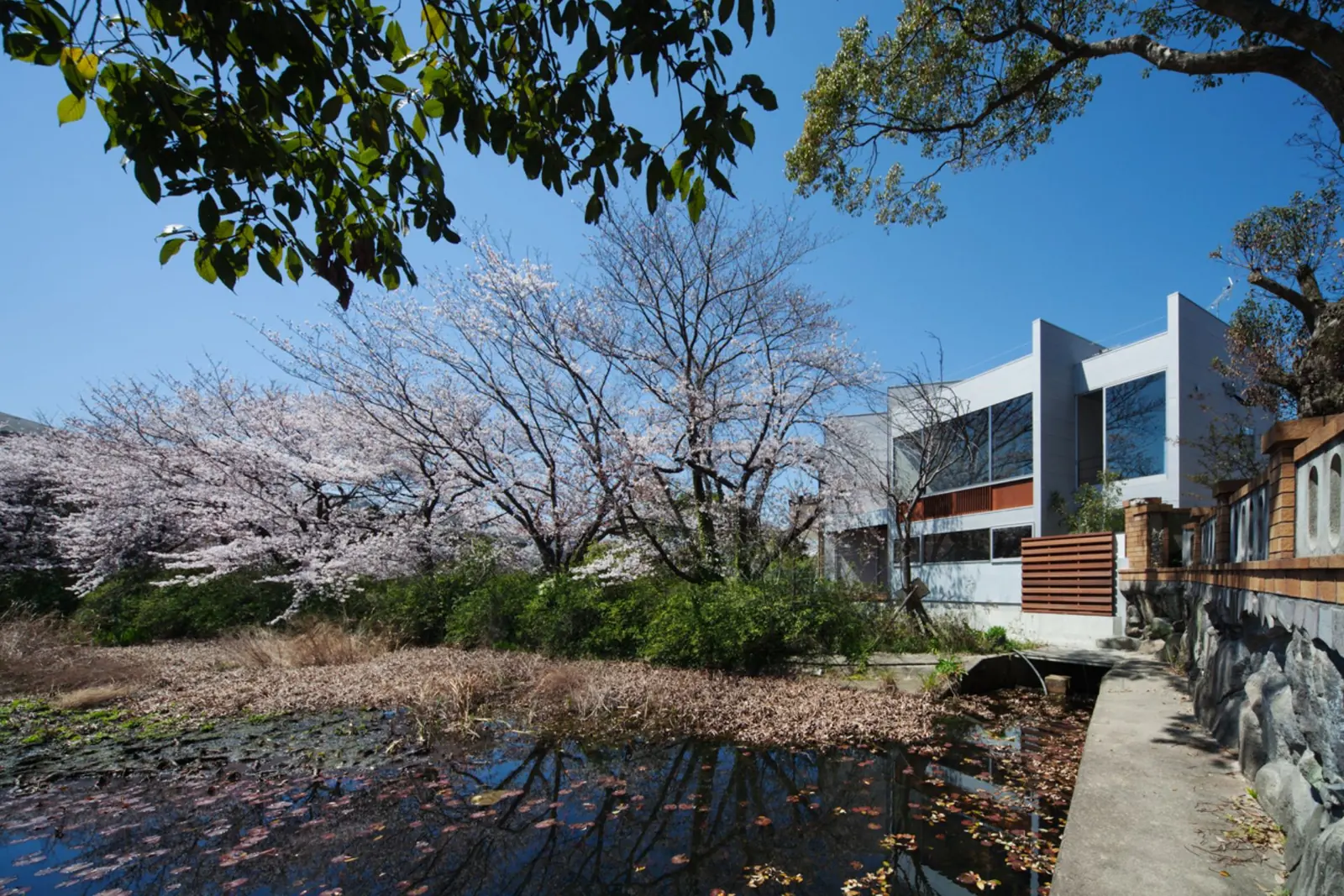 HOUSE S